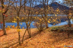 長野県・秋の女神湖の風景 7