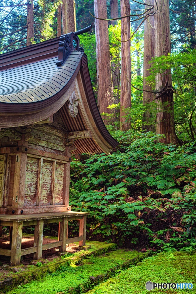 山形県・羽黒山の風景