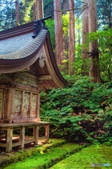 山形県・羽黒山の風景