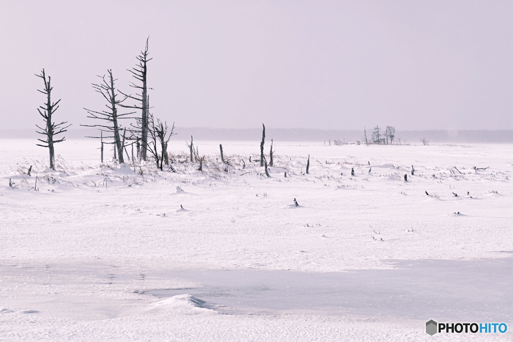 北海道・別海町 雪降る冬の野付半島の風景