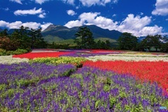 大分県・くじゅう花公園の風景 1