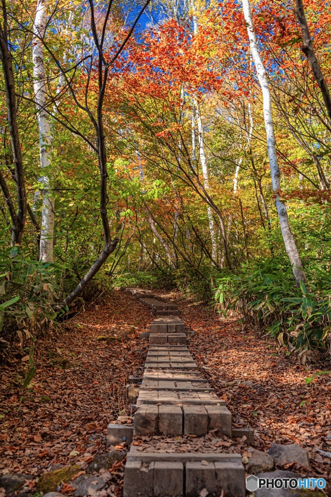 新潟県・妙高山の紅葉