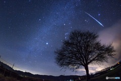 長野県・野辺山 ふたご座流星群 2010