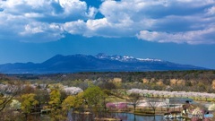 栃木県・那須高原の桜