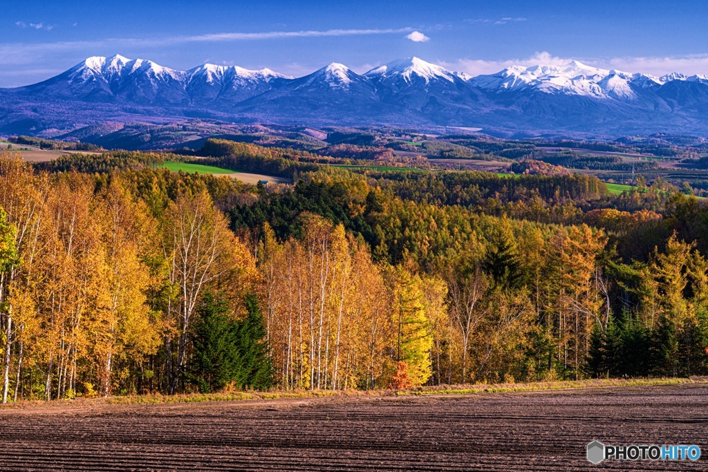 北海道・美瑛町 秋の美瑛の丘 4