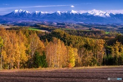 北海道・美瑛町 秋の美瑛の丘 4