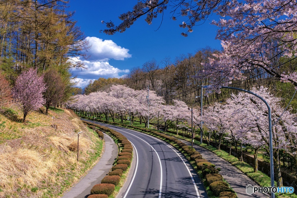 長野県・春の茅野市運動公園の風景 2
