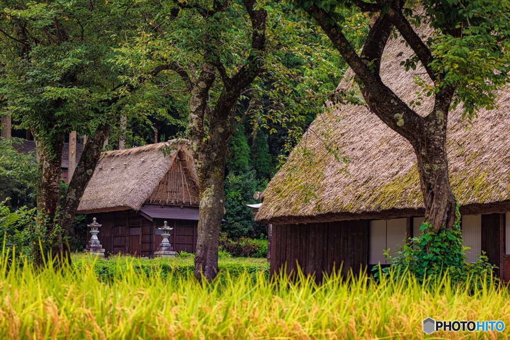 富山県・五箇山の合掌造り集落 2
