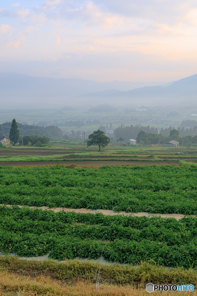 長野県・木島平村 幻想的な早朝の朝霧の風景