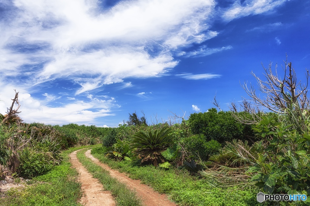 沖縄県・鳩間島 3
