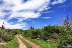 沖縄県・鳩間島 3
