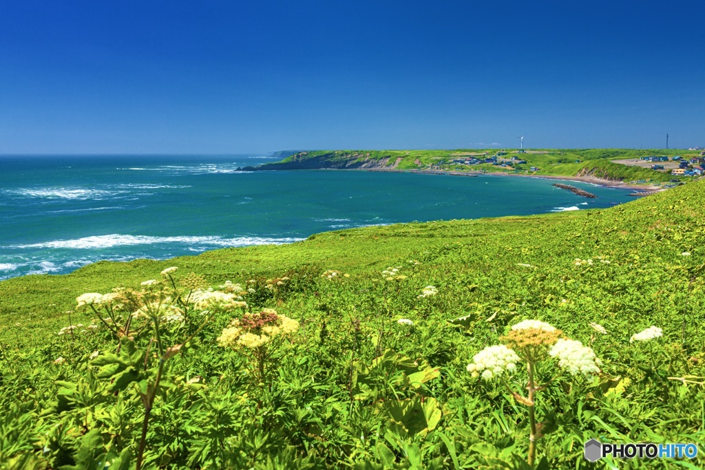 北海道・厚岸町 夏の霧多布岬の風景 2