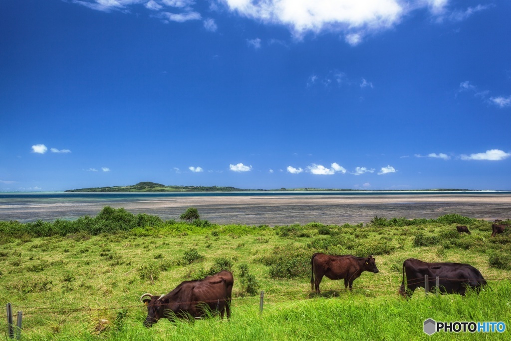 沖縄県・西表島 1