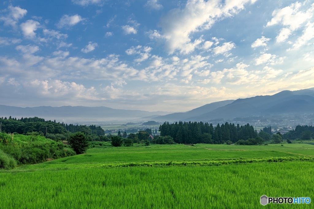 長野県・木島平村 朝の水田の風景
