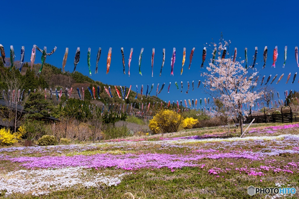 山梨県・春の道の駅南きよさとの風景 1
