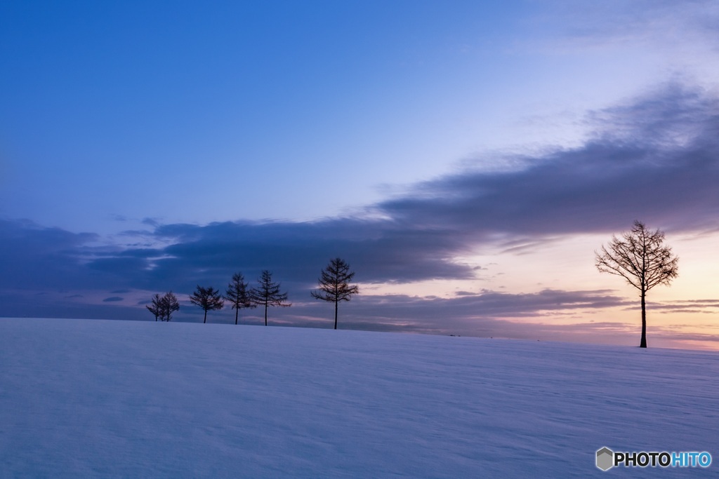 北海道・大空町 朝焼けのメルヘンの丘