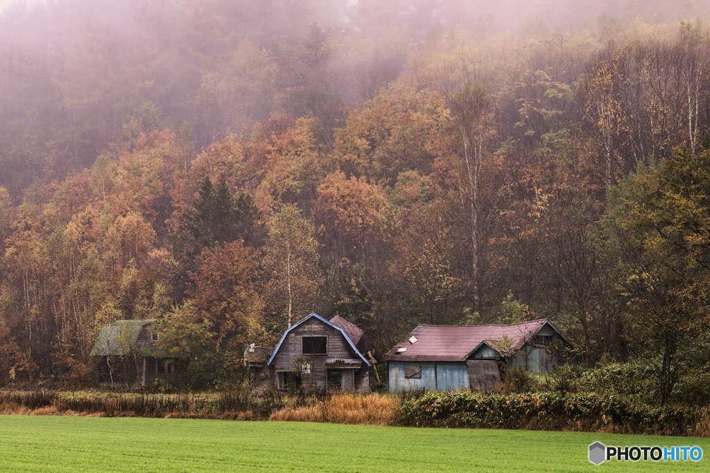 北海道・美瑛町 朝霧の美瑛町 3