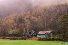 北海道・美瑛町 朝霧の美瑛町 3