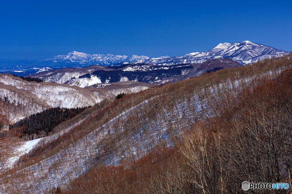 長野県・斑尾高原から望む冬の米山と北信の山々