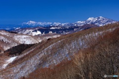 長野県・斑尾高原から望む冬の米山と北信の山々