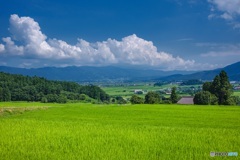 長野県・木島平村 高台から眺める村の風景