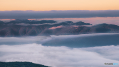 長野県・朝焼けの雲海