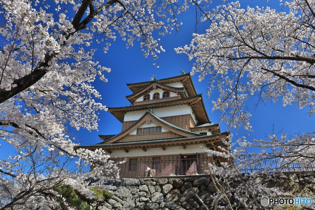 長野県・諏訪高島城の春