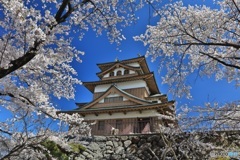 長野県・諏訪高島城の春