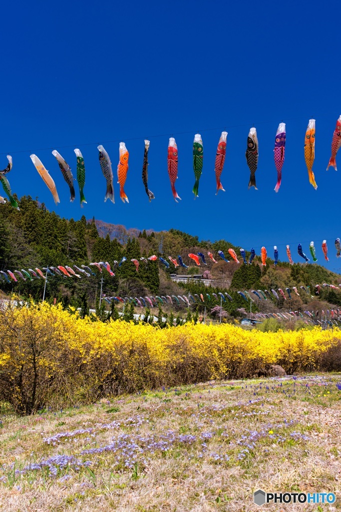 山梨県・春の道の駅南きよさとの風景 3