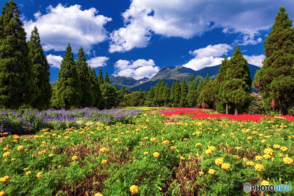大分県・くじゅう花公園の風景 2