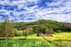 北海道・南富良野の一軒家