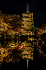 夜の東寺