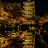 夜の東寺