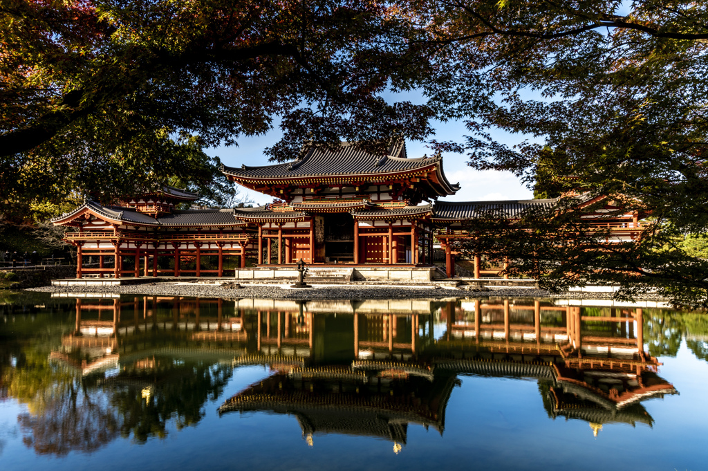 朝一番で平等院（１）