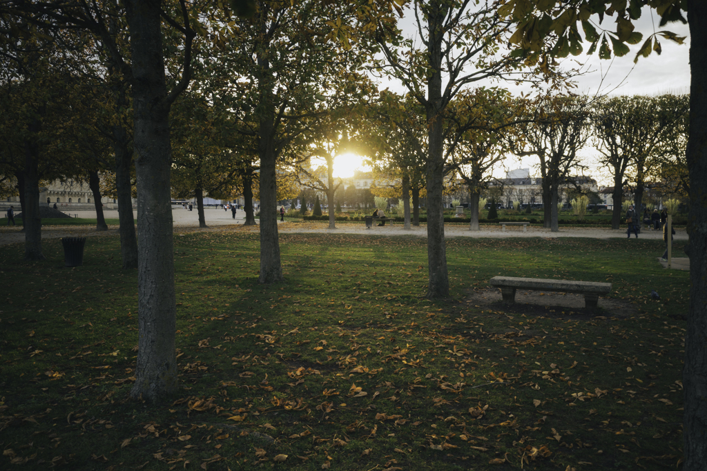 秋深まる part III