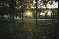 秋深まる part III