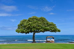 A Long Vacation