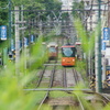 新緑