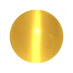 イエローキャッツアイ