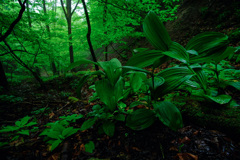 4B2F0F74-3C94-4DB4-8558-007FC5D82B27