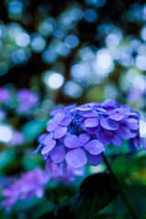 00943E76-E031-491A-8F14-2F9083F87D8C