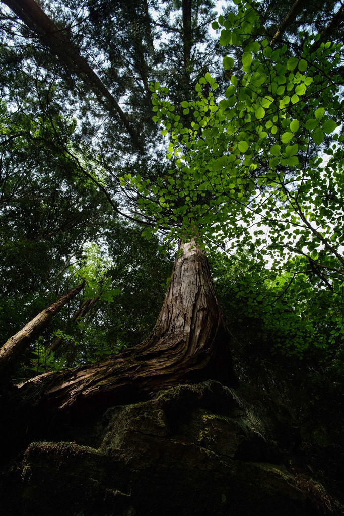 F8EC58A6-EC91-470D-8646-D1EB01B1FDBF