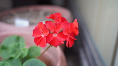 DSC00545