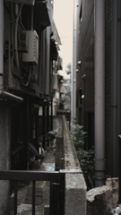 DSC00503_edit