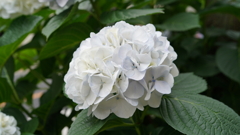 DSC00462