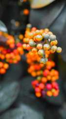 DSC00553_edit