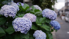 DSC00513