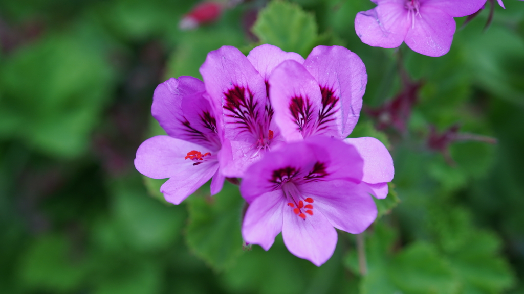 DSC00508