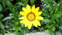 DSC00476