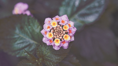 DSC00529_edit